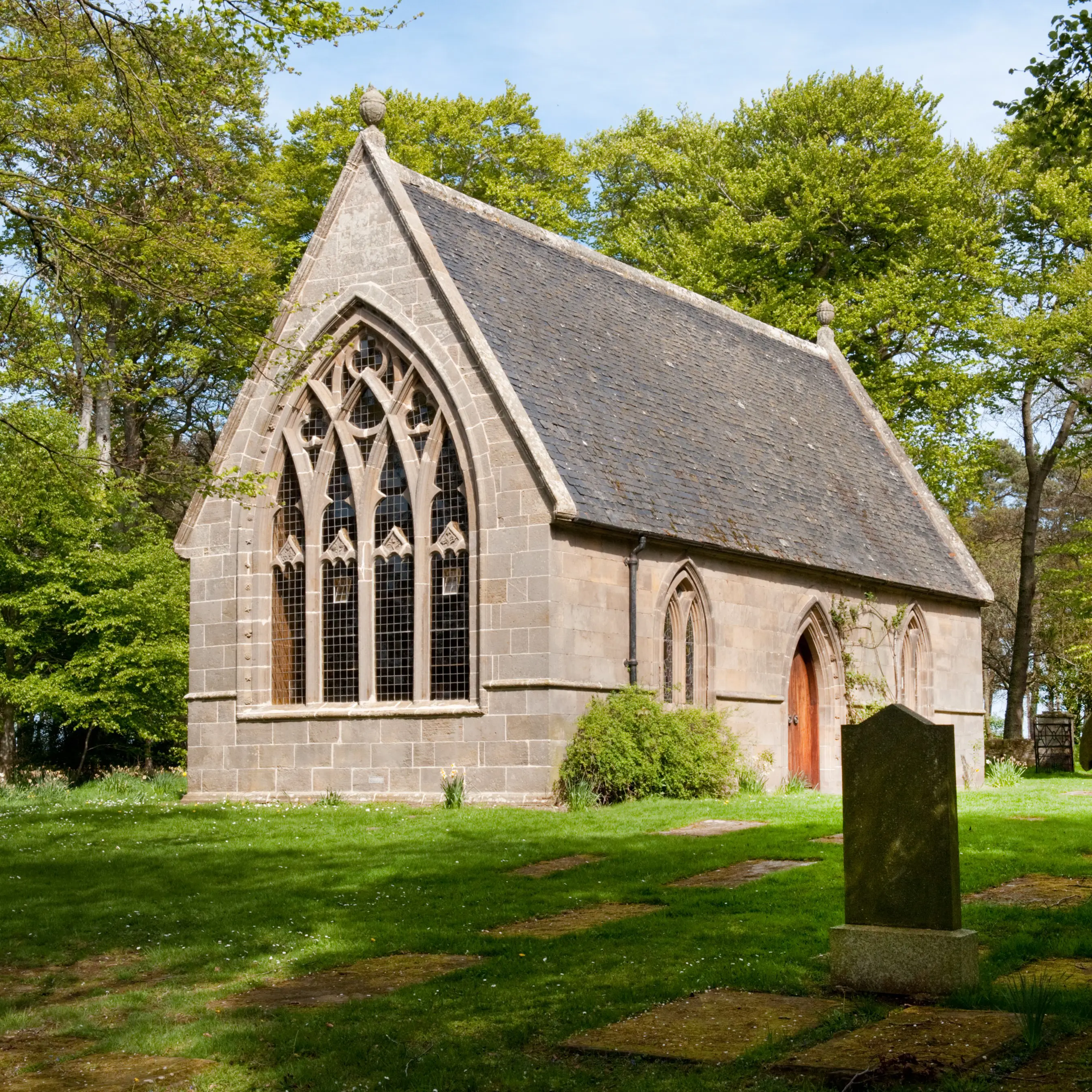  OptimizedImage,Optimized