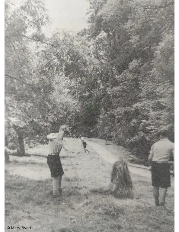  OptimizedImage,,,Optimized