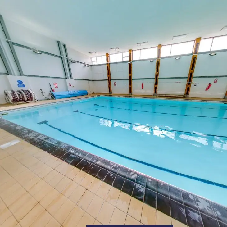  OptimizedImage,Optimized